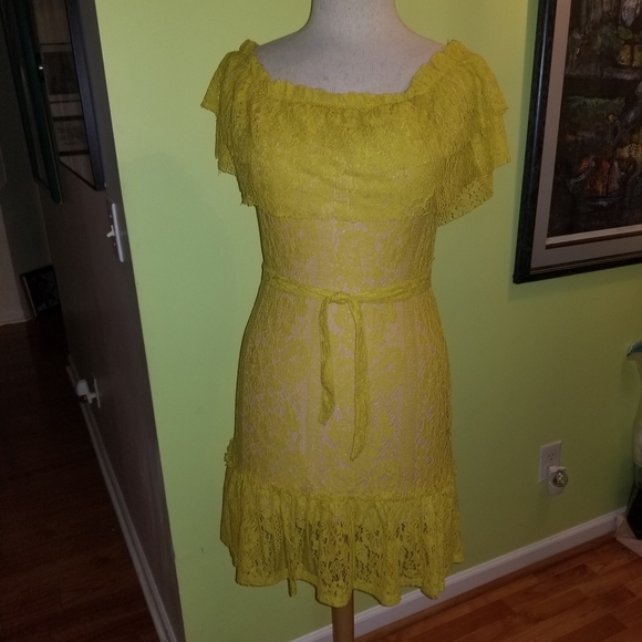 Flirty and Feminine Lace Dress by Sharagano - Picture 2 of 7